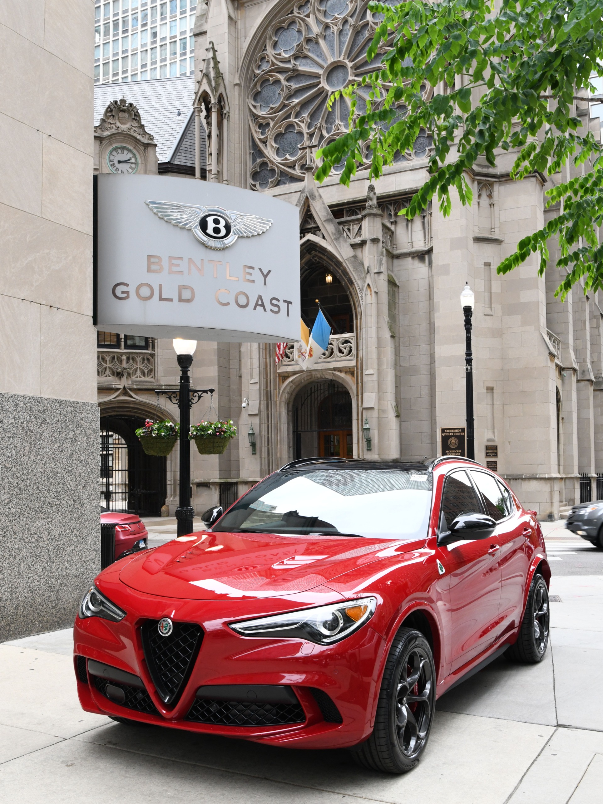 New 2022 Alfa Romeo Stelvio Quadrifoglio | St. Petersburg, FL