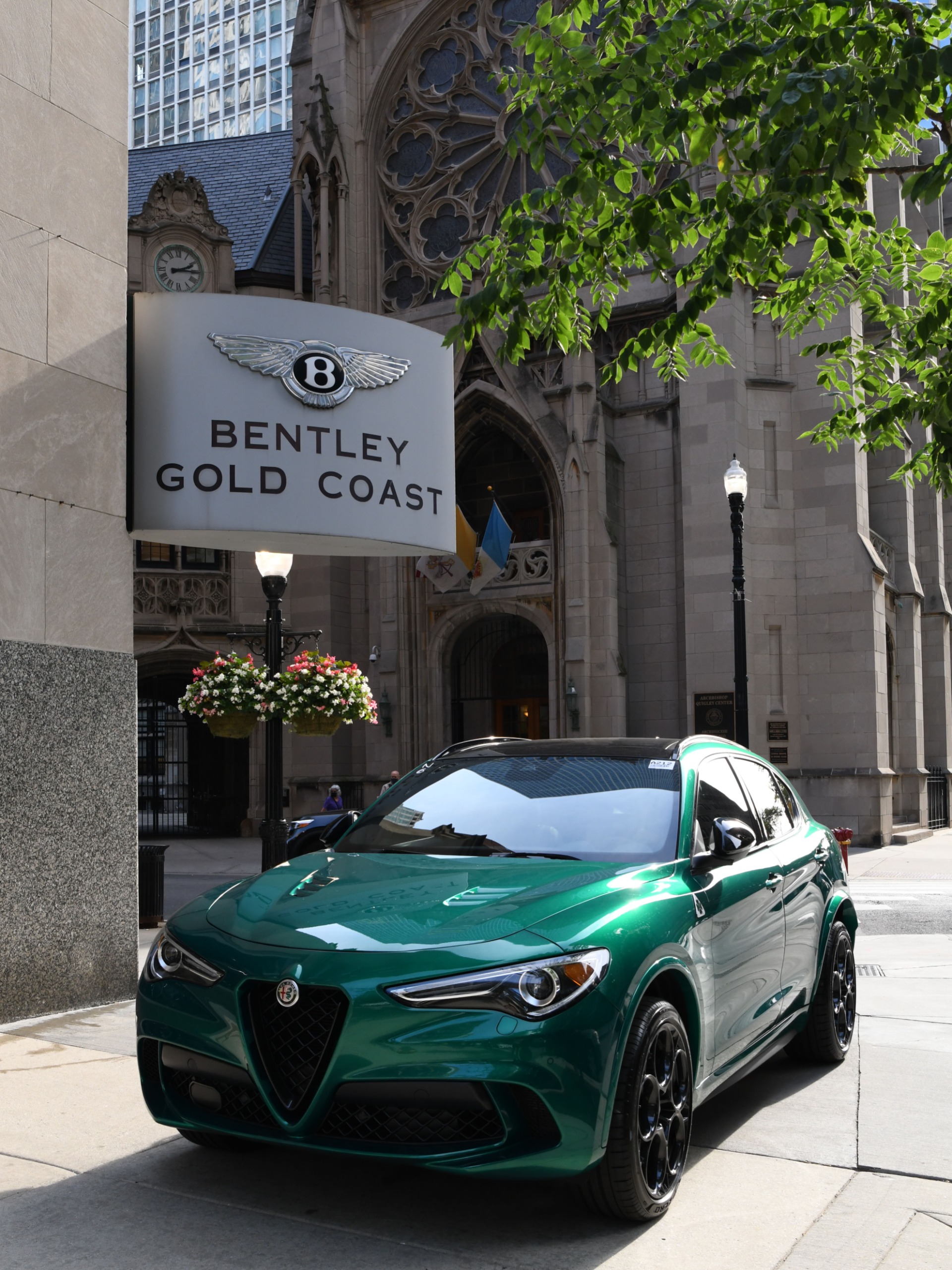 New 2022 Alfa Romeo Stelvio Quadrifoglio | St. Petersburg, FL