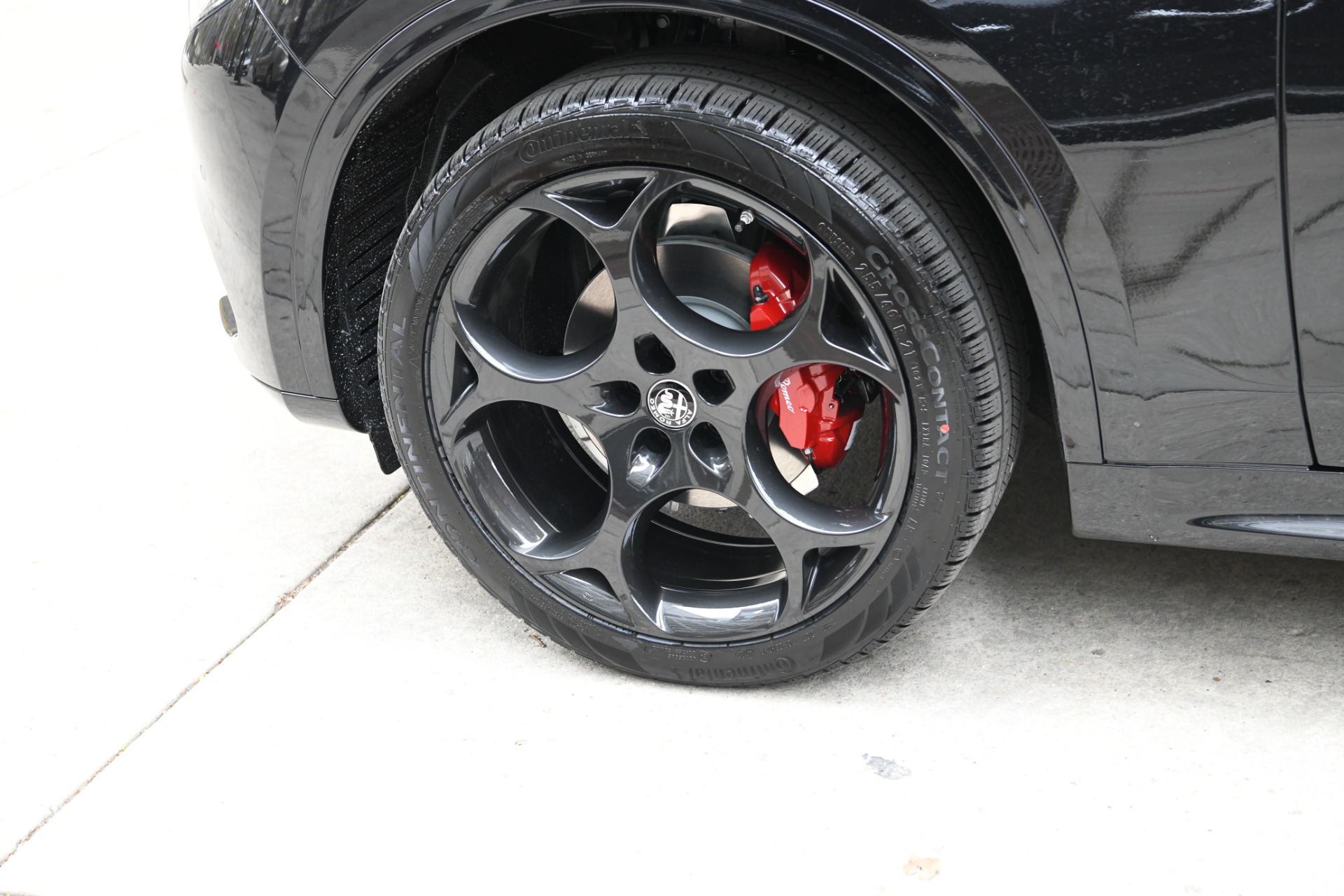 New 2023 Alfa Romeo Stelvio Veloce | St. Petersburg, FL
