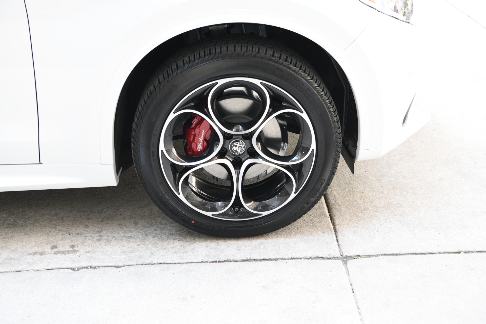 New 2023 Alfa Romeo Stelvio Veloce | St. Petersburg, FL