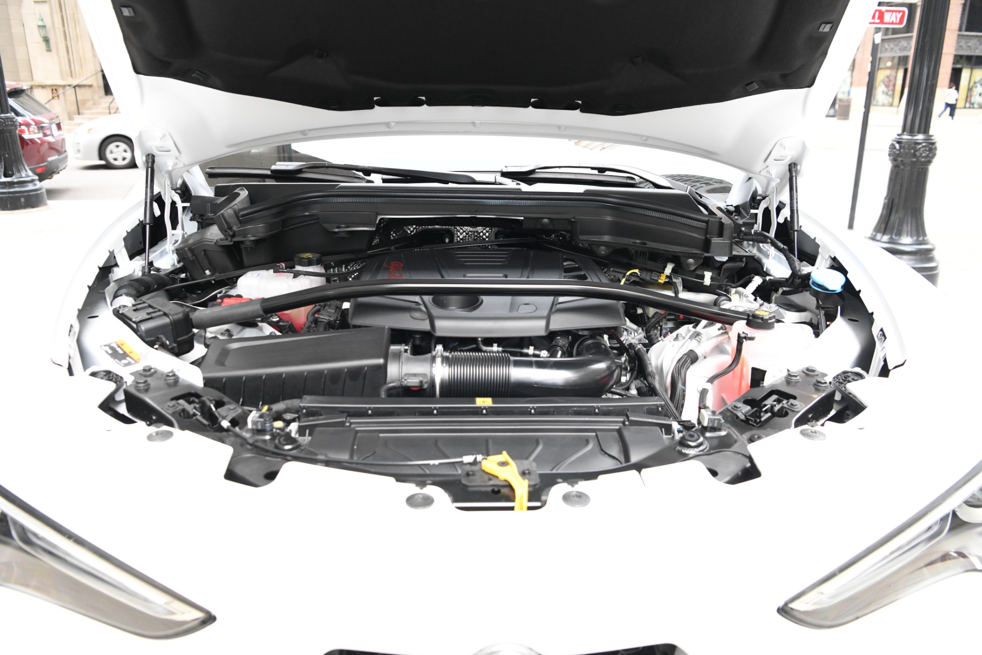 New 2023 Alfa Romeo Stelvio Veloce | St. Petersburg, FL