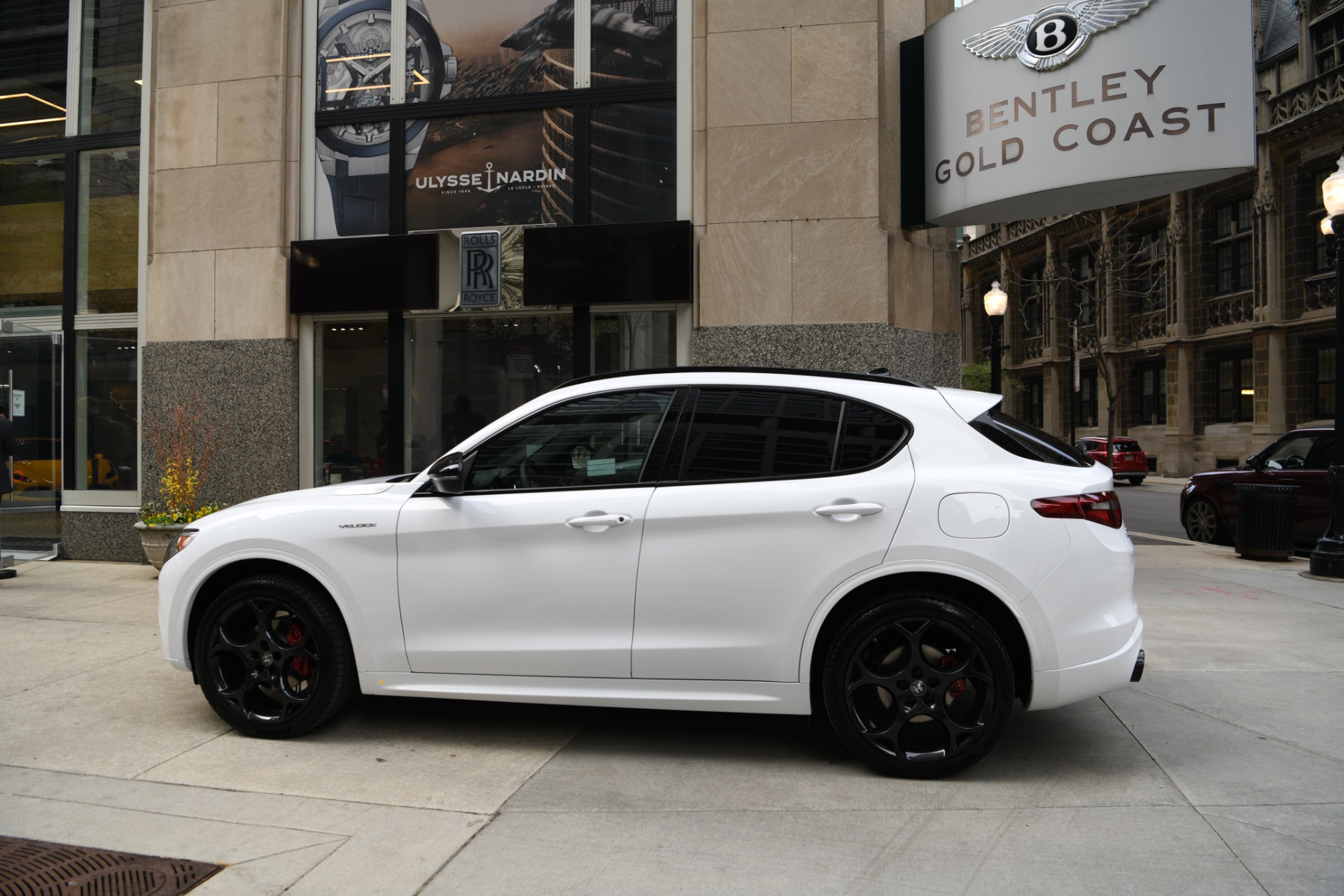 New 2023 Alfa Romeo Stelvio Veloce | St. Petersburg, FL