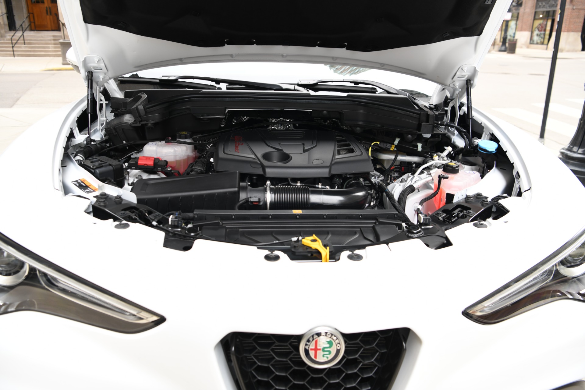New 2023 Alfa Romeo Stelvio Sprint | St. Petersburg, FL