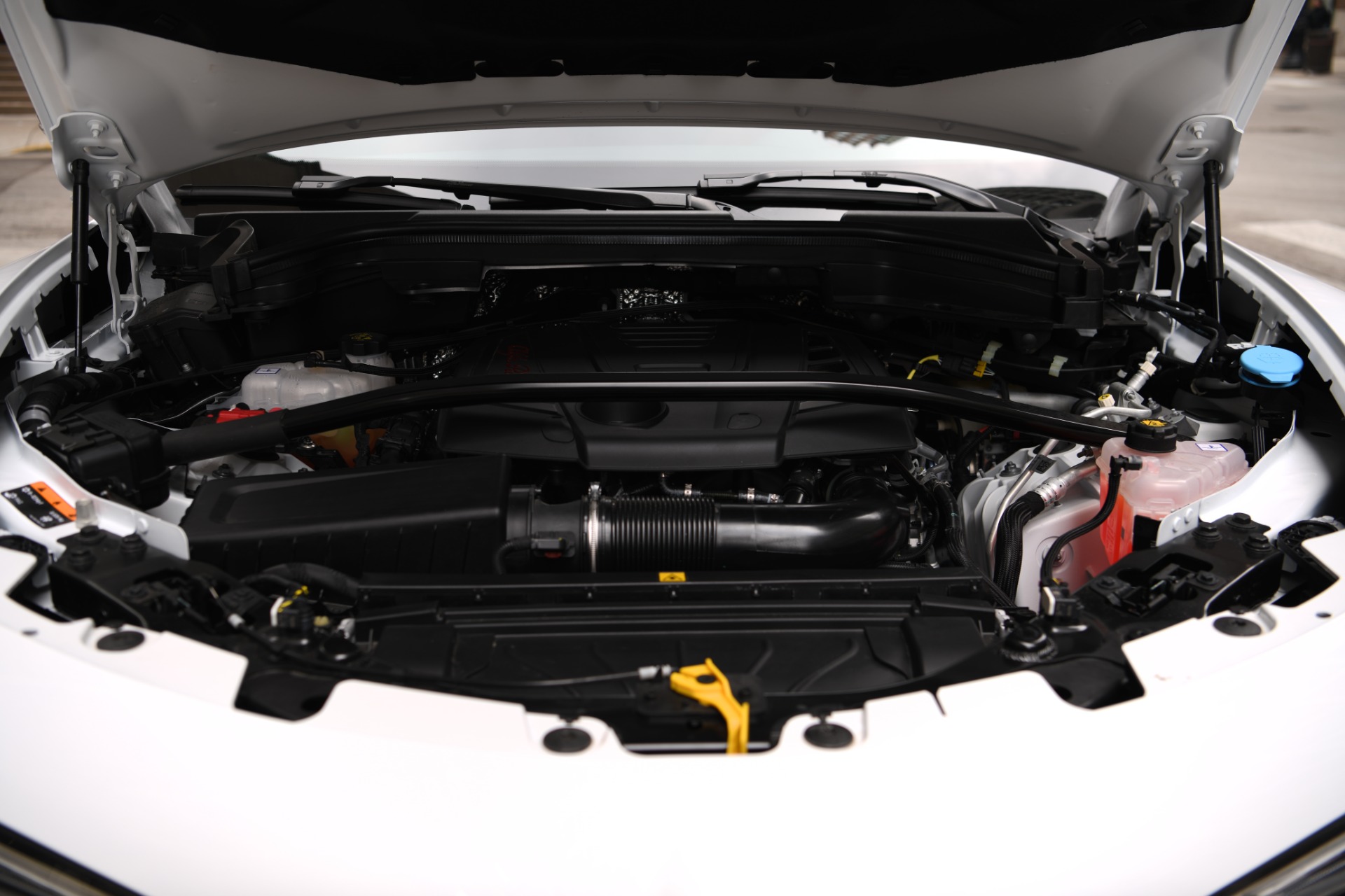 New 2023 Alfa Romeo Stelvio Veloce | St. Petersburg, FL