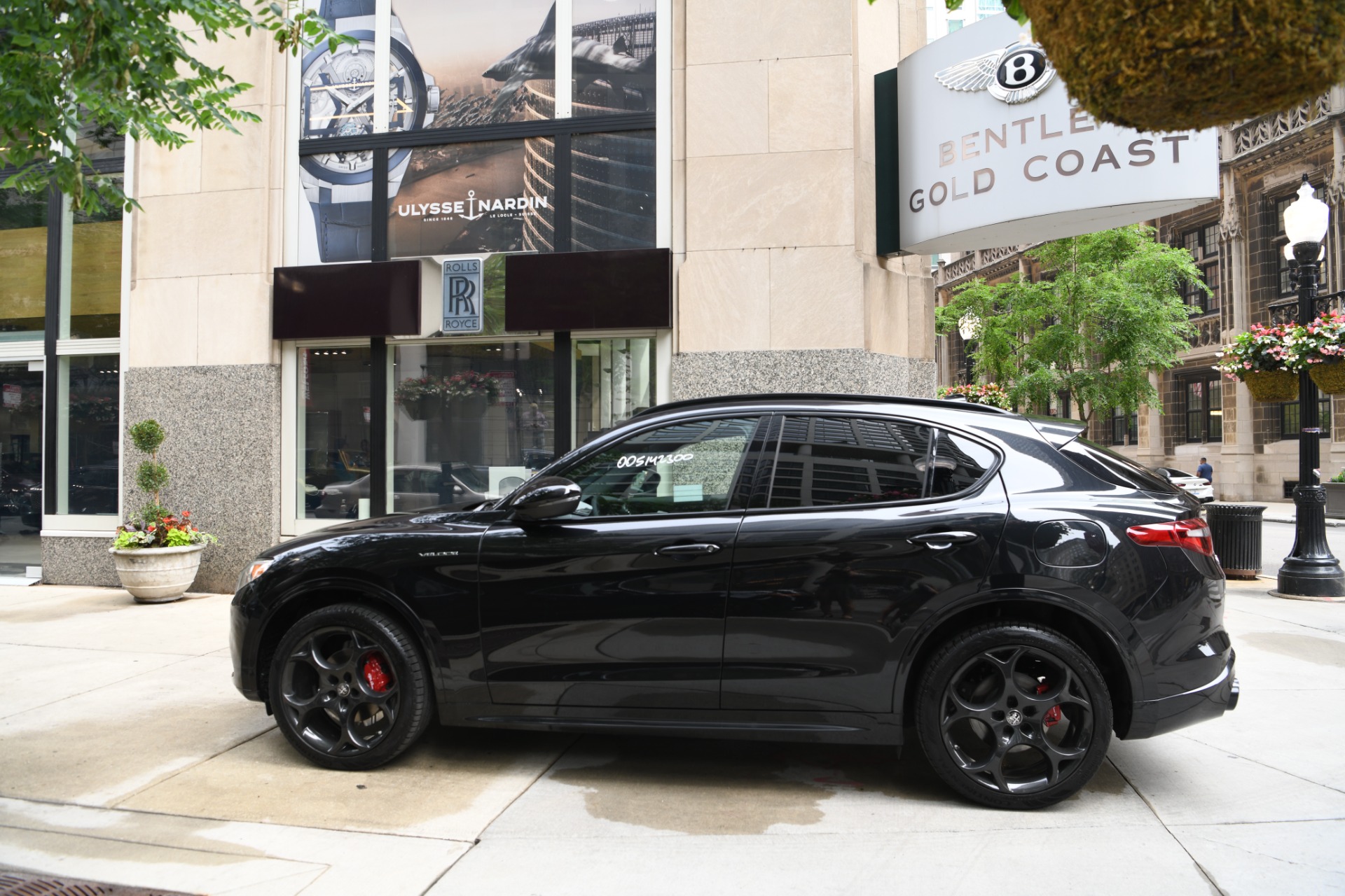 New 2023 Alfa Romeo Stelvio Veloce | St. Petersburg, FL