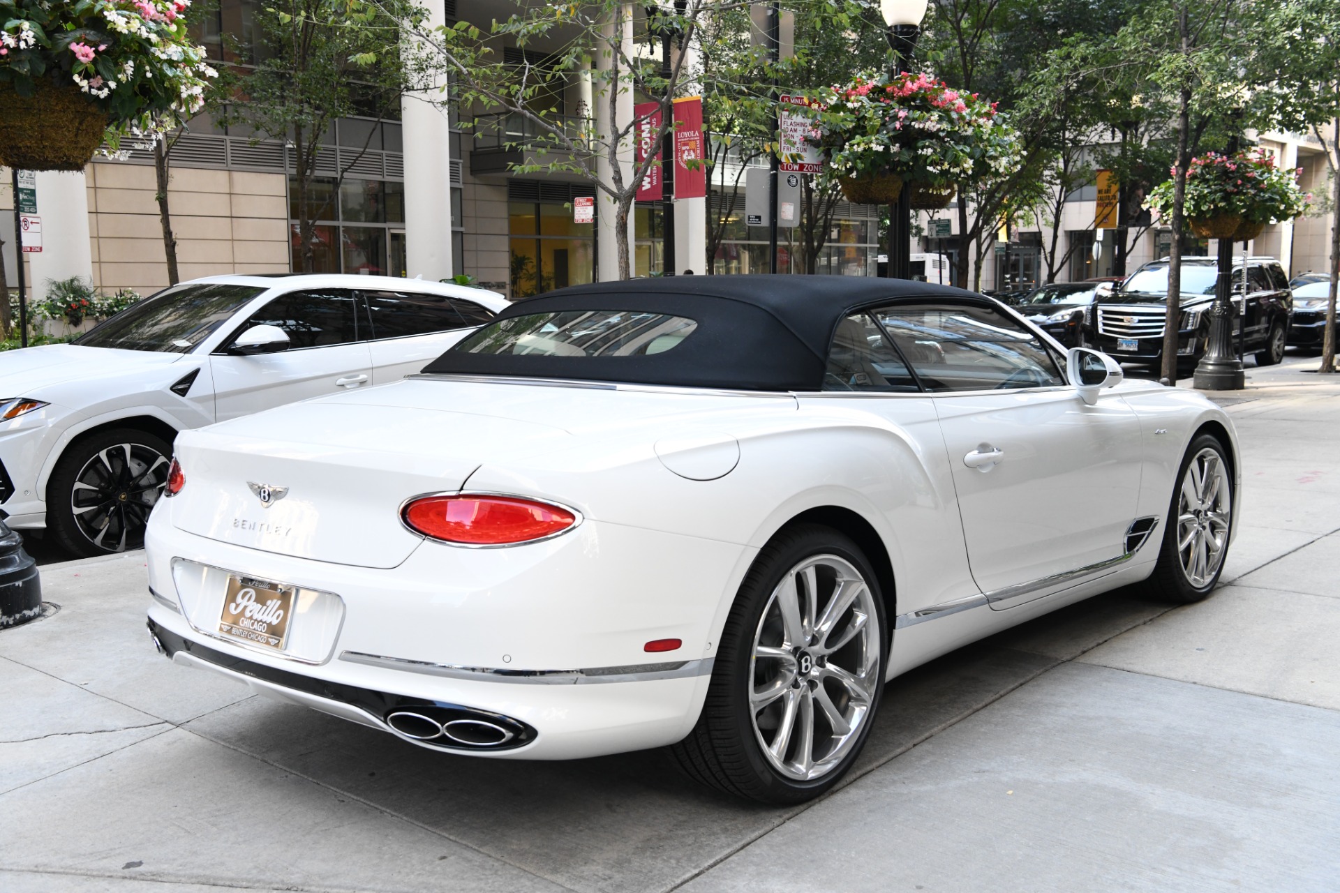 New 2023 Bentley Continental GTC Convertible GTC Azure V8 | St. Petersburg, FL