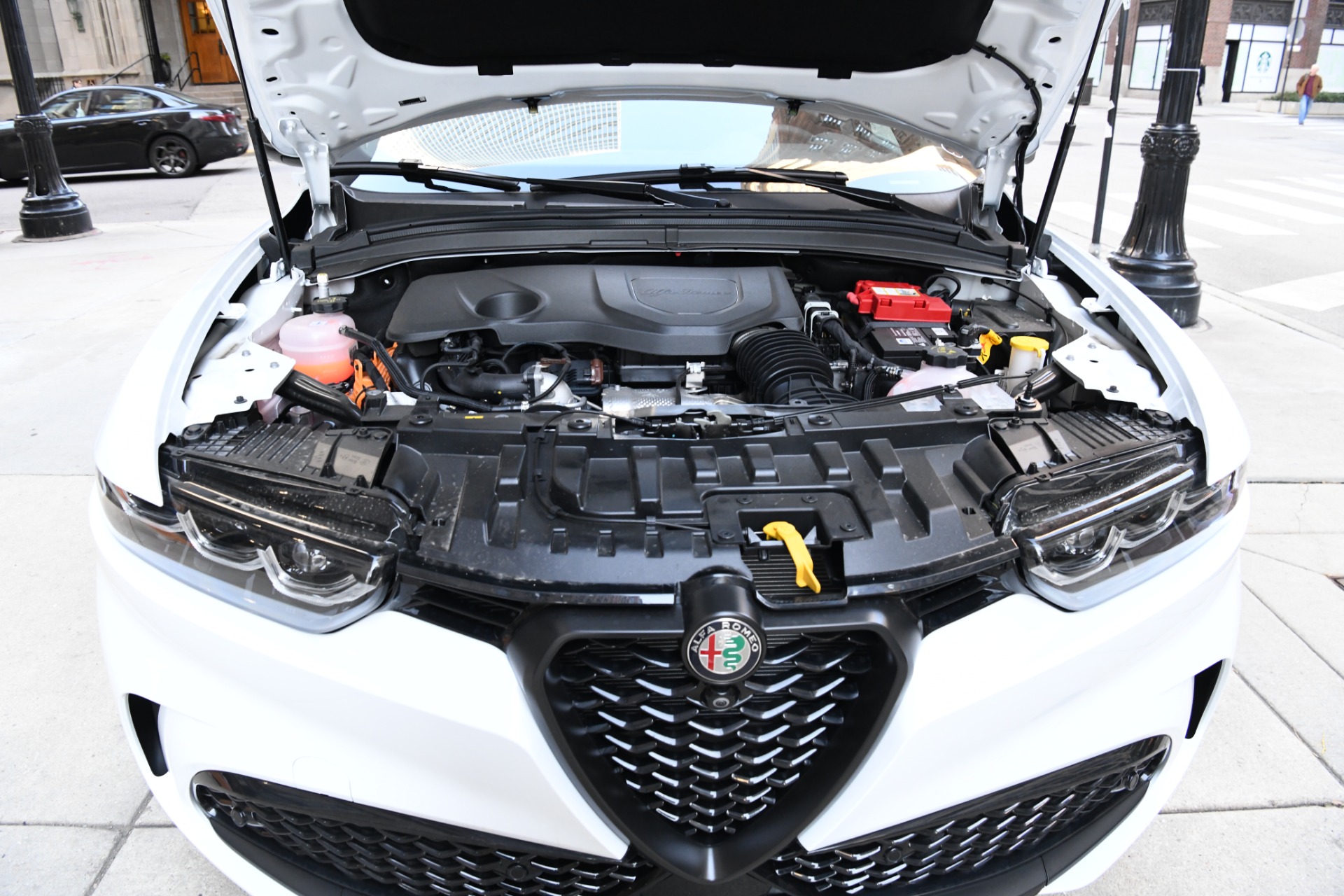 New 2024 Alfa Romeo Tonale Veloce | St. Petersburg, FL
